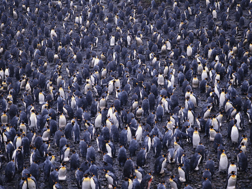 350582 (a): :1024x768